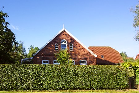 Foto aus der Fotogruppe 