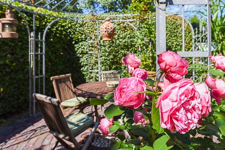 Foto aus der Fotogruppe 