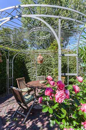 Foto aus der Fotogruppe 